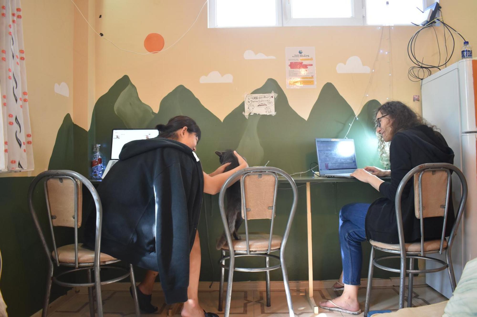 Harmony Backpackers Hostel Batumi Ngoại thất bức ảnh